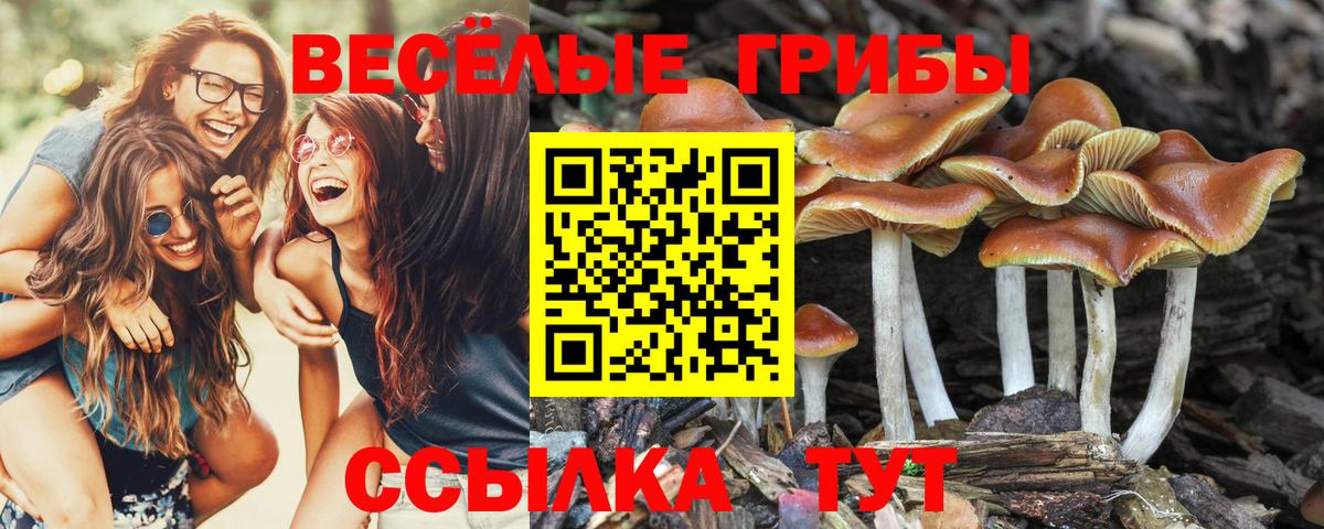 Псилоцибиновые грибы Magic Shrooms  Псилоцибиновые грибы Psilocybine cubensis  Долгопрудный  Вход с VPN 